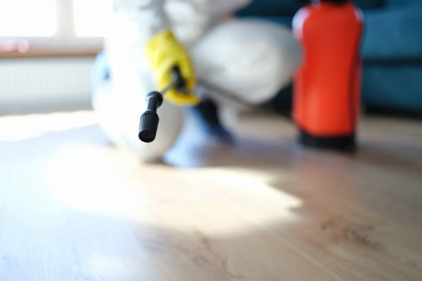 Best Water Damage & Mold Remediation  in Woodacre, CA