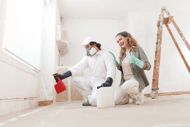 Best Mold Remediation for Healthcare Facilities  in Woodacre, CA
